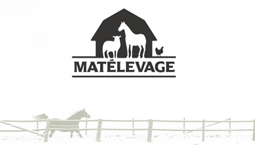 Matelevage
